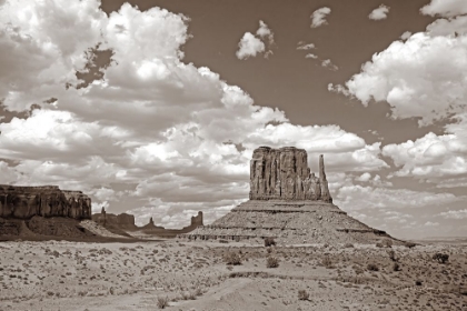 Picture of MONUMENT VALLEY II SEPIA