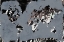 Picture of LOVE THE WORLD MAP