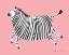 Picture of ZEBRA