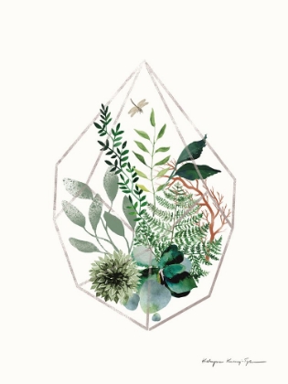 Picture of TERRARIUM