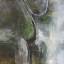 Picture of FOREST FEEL II