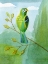 Picture of COLORFUL BIRDS III