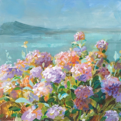 Picture of BEACH HYDRANGEAS