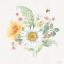 Picture of DAISY DAYS V