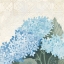 Picture of DECORATIVE HYDRANGEA III PROVIDENCE