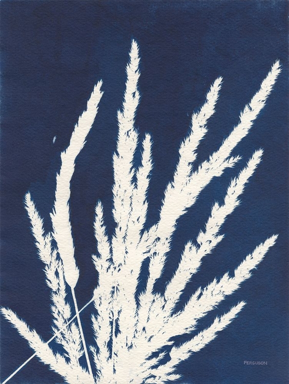 Picture of ORNAMENTAL GRASS II