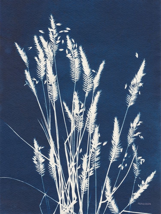 Picture of ORNAMENTAL GRASS III