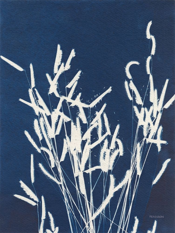 Picture of ORNAMENTAL GRASS IV
