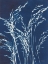 Picture of ORNAMENTAL GRASS V