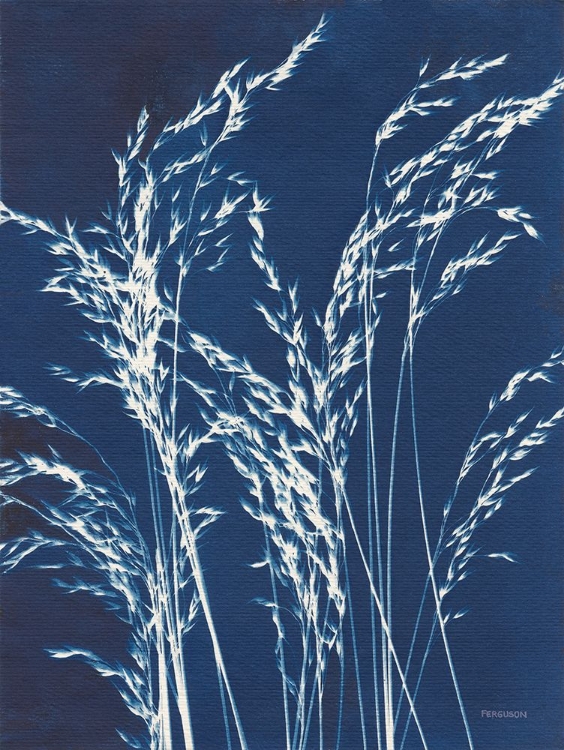 Picture of ORNAMENTAL GRASS V