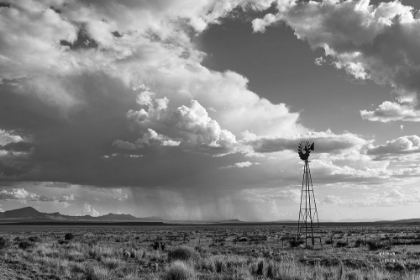 Picture of NEW MEXICO MONSOON RAINS