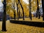 Picture of SILENT NATURE 2