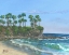 Picture of CRESCENT PALMS
