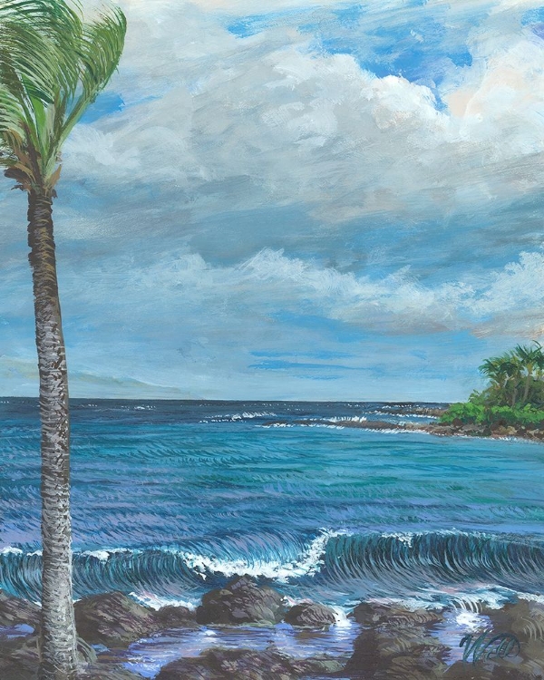 Picture of NAPILI BAY PALMS MAUI