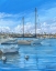 Picture of BALBOA ISLAND BOATS