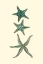 Picture of CUSTOM AQUAMARINE STARFISH I