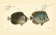 Picture of BLOCH ANTIQUE FISH V