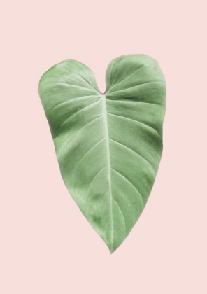 Picture of TROPICAL LEAF BLUSH