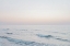 Picture of DAWN