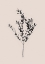 Picture of INKY BOTANICAL