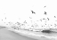 Picture of SEASCAPE BW