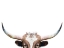 Picture of PEEKING LONGHORN COW