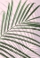 Picture of PALM LEAF SHADOW