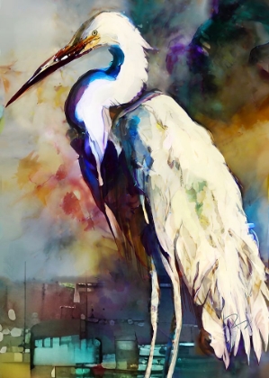 Picture of EGRET AFTER THE STORM
