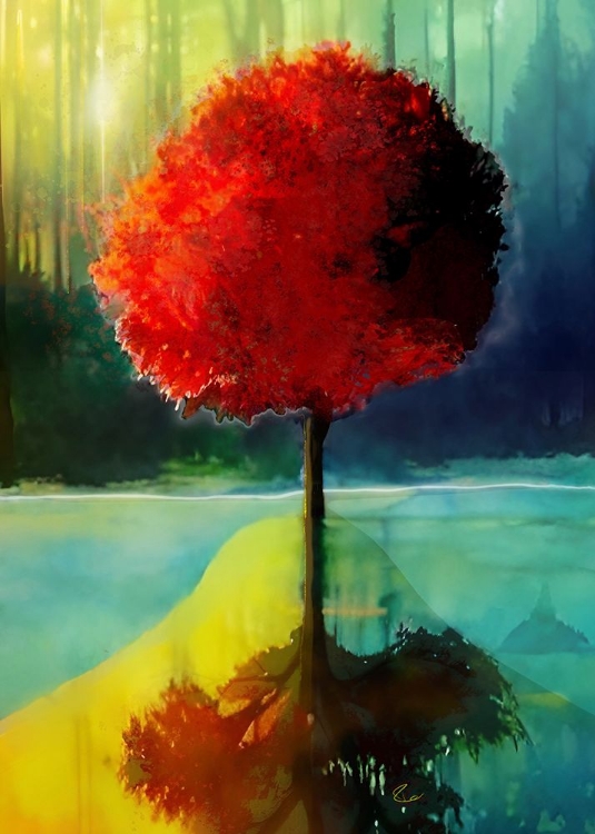 Picture of RED TREE REFLECTED