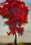 Picture of TREE OF LOVE