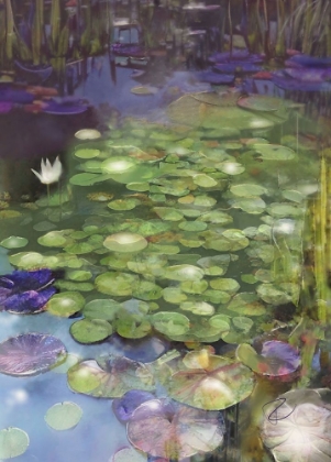 Picture of LILY PAD POND