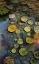 Picture of LILY PADS