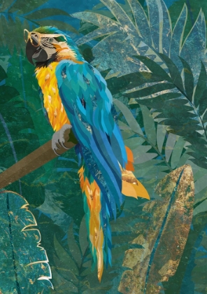 Picture of BLUE PARROT IN THE RAINFOREST
