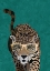 Picture of CURIOUS GREEN LEOPARD