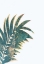 Picture of TROPICAL LEAF 1