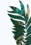 Picture of TROPICAL LEAF 2