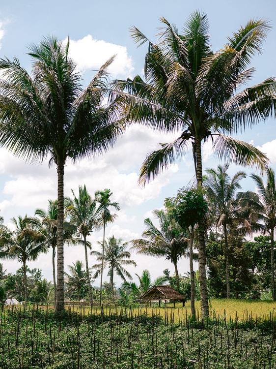 Picture of TETEBATU LOMBOK