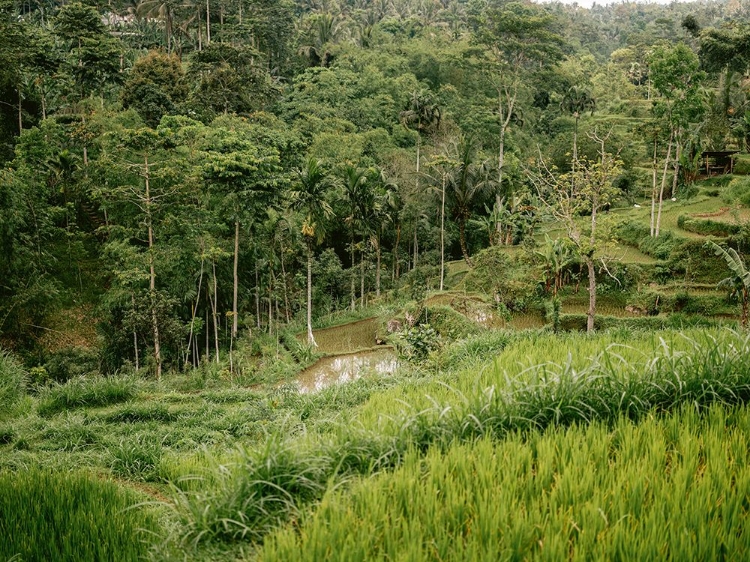 Picture of TETEBATU LOMBOK