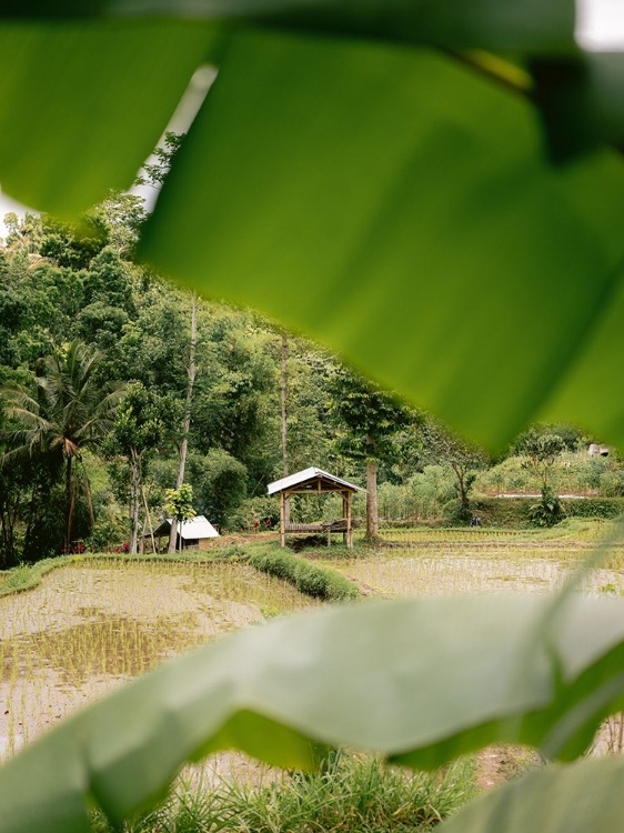 Picture of TETEBATU LOMBOK