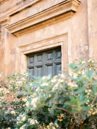 Picture of BOTANICAL TRASTEVERE ROME