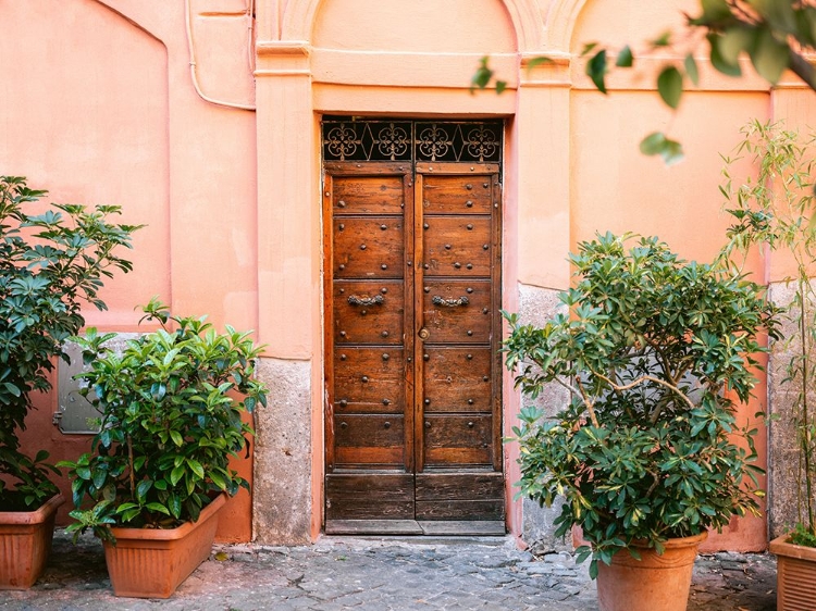 Picture of THE TRASTEVERE DOOR