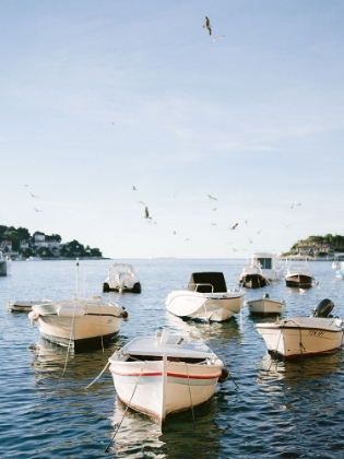Picture of BOATS OF HVAR