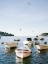Picture of BOATS OF HVAR