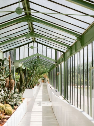 Picture of BOTANICAL GARDEN OF PARIS