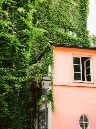 Picture of GREEN AND PINK || MONTMARTRE PARIS