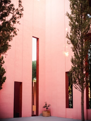 Picture of MURALLA ROJA