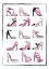 Picture of PINK SHOES