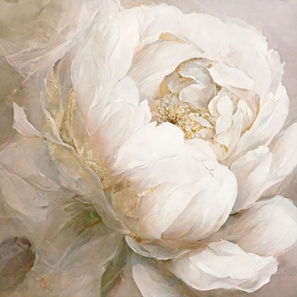 Picture of PEONY POSES II