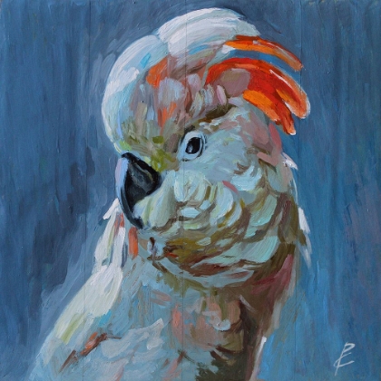 Picture of PARROTS IV