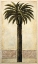 Picture of SILHOUETTE PALMS I